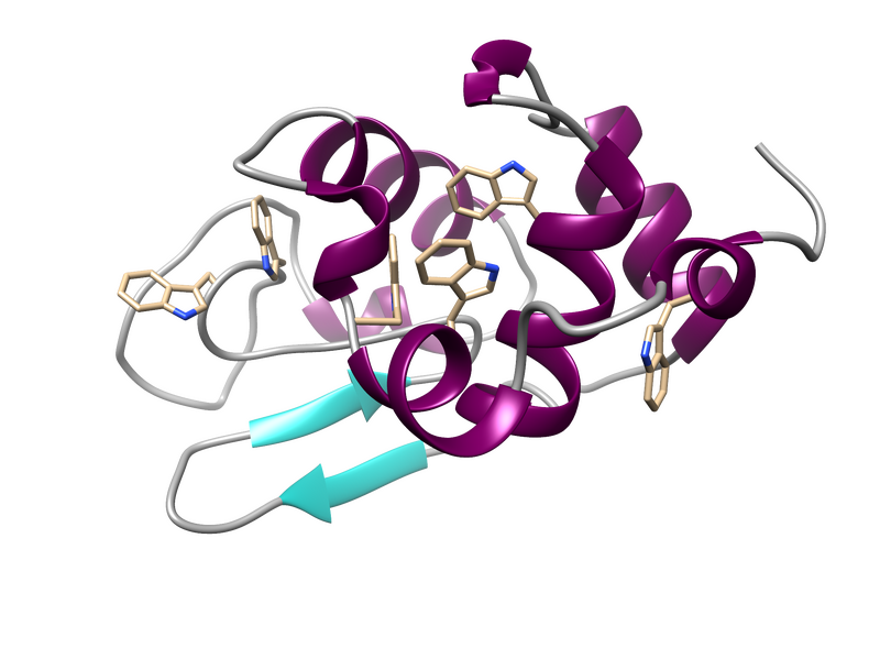 File:Lysozyme tryptophan mrh 2016 09 05.png