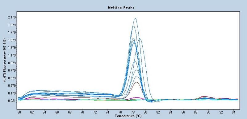 File:S14 M3D5 TR CNI-melt.jpg