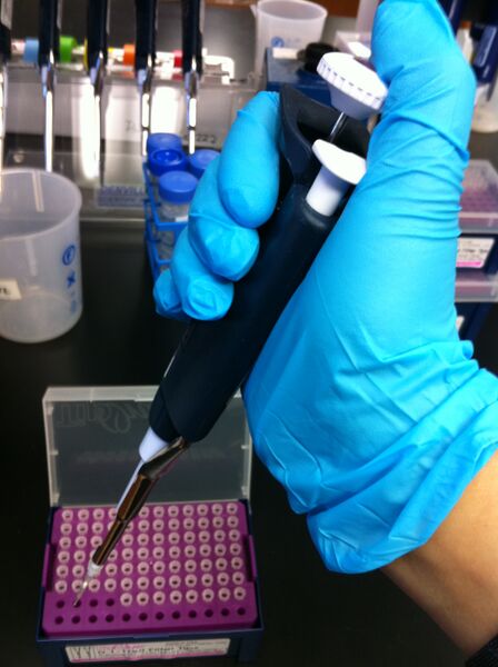 File:Working at the Lab.JPG