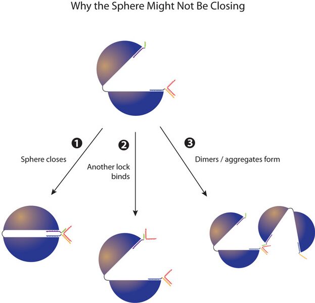 File:2011-07-26 figure1.jpg