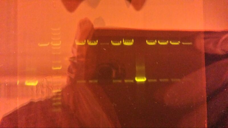 File:20140901 180224.jpg