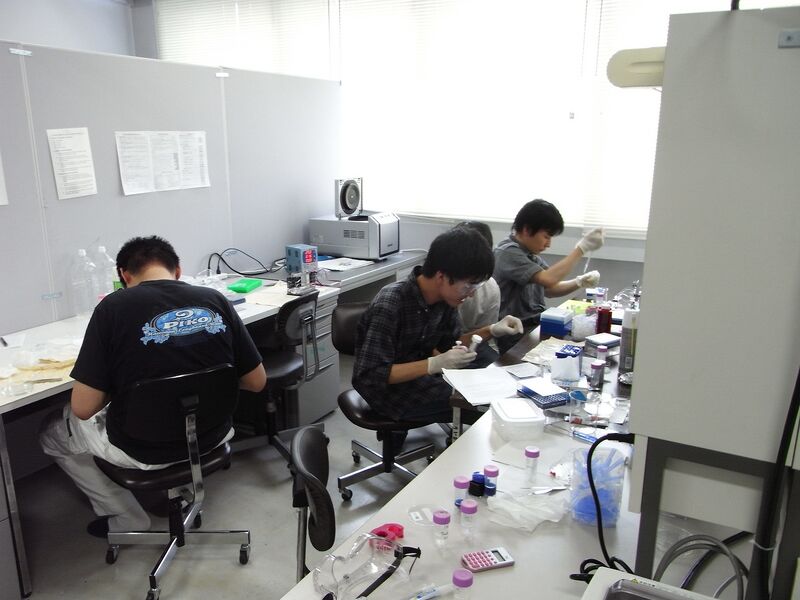 File:Biomod2011 Team Tokyo 0805実験風景.JPG