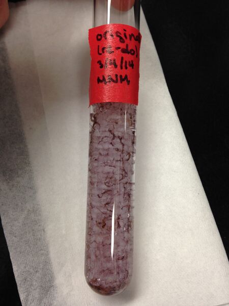 File:Original re-do.JPG