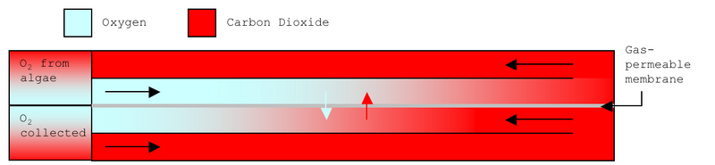 File:Parallel Flow.png