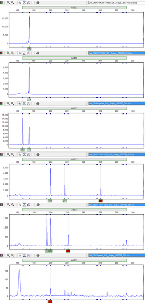 File:20120723 FragResultsAi5033.png