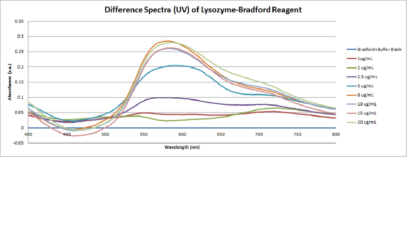 File:Bradford Assay of Lysozyme.png