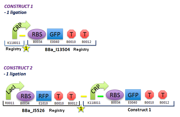 File:II09 ConstM0a.jpg