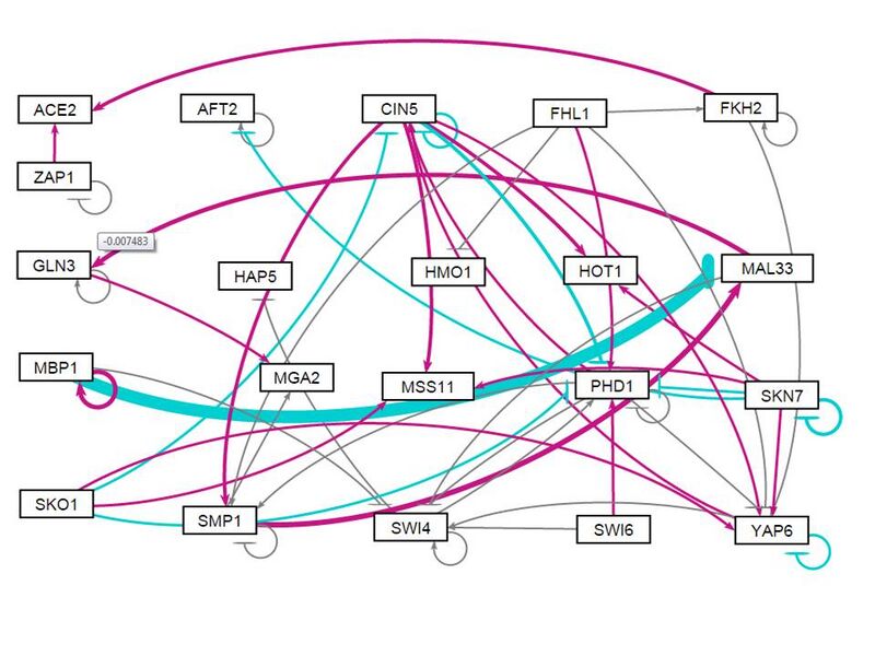 File:NW GRNsight dHMO1.jpg