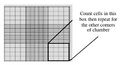 Thumbnail for version as of 23:17, 28 November 2005