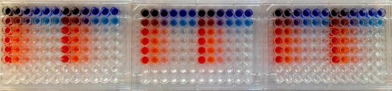 File:Dilution curves F13.jpg