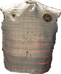 Georgia Tech Wearable Motherboard