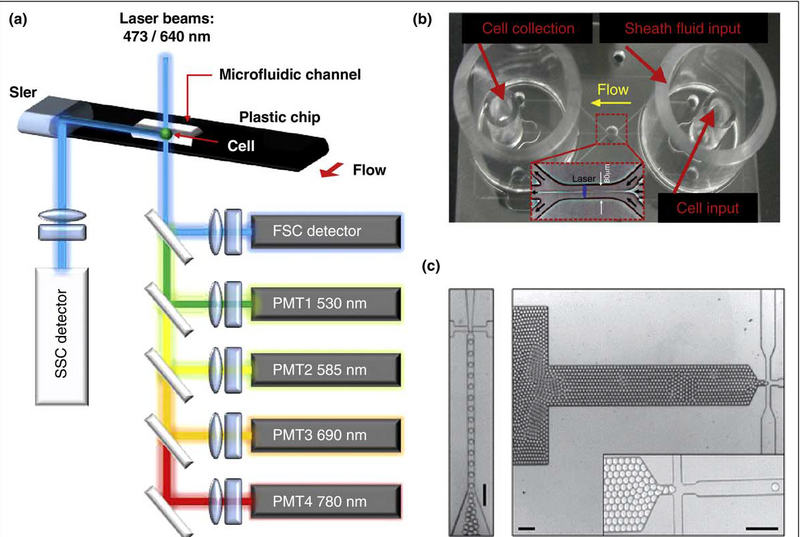 File:Flowcytometry.png
