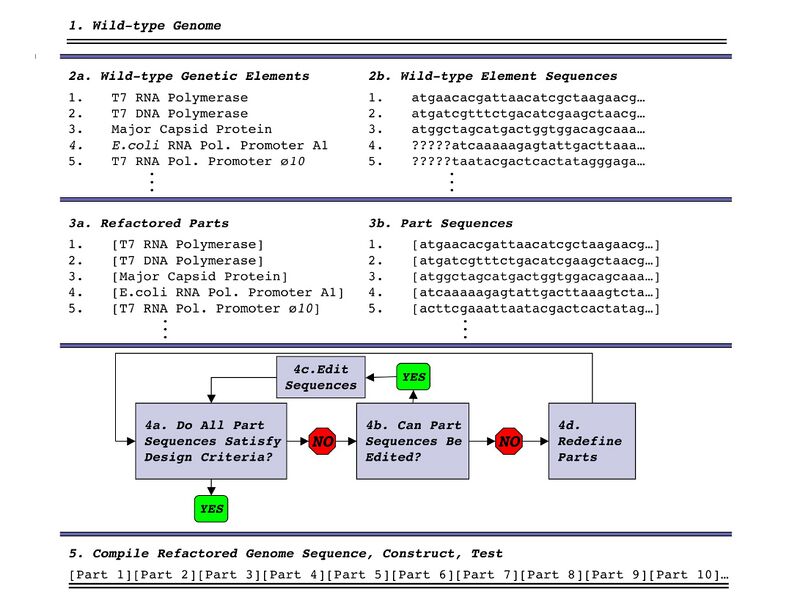 File:Genome design algorith.jpg