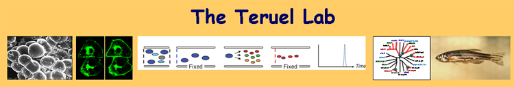 File:Teruelbanner.tif