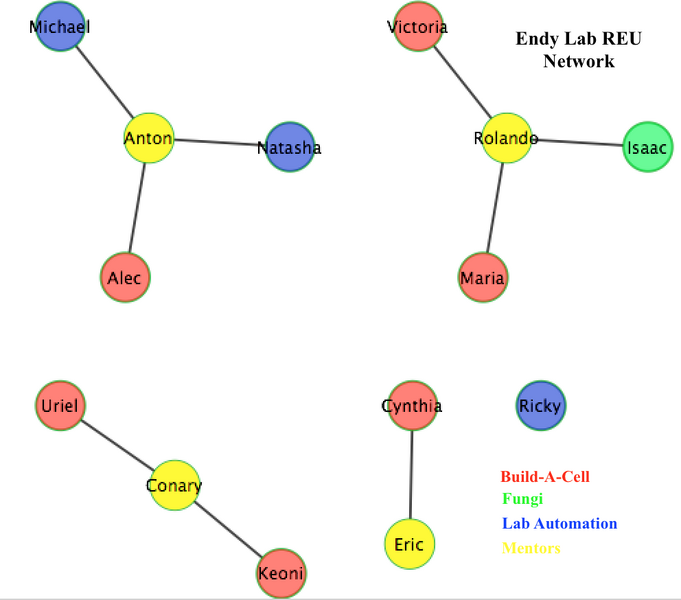 File:2107REU network.png
