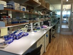 Chemistry lab benches