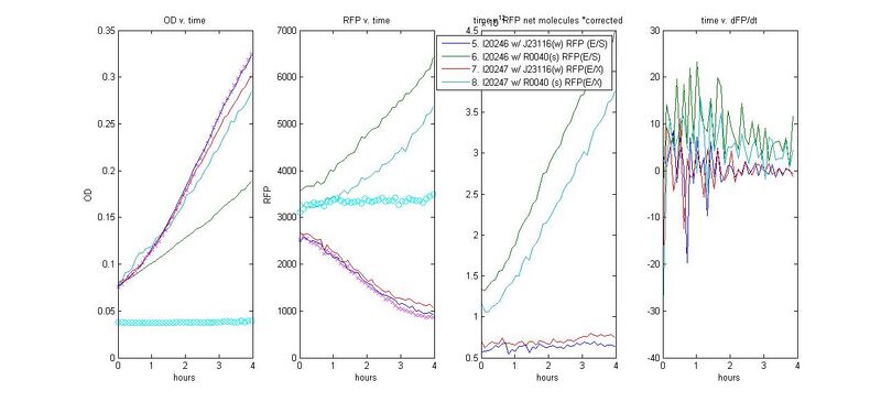 File:RFP promoters 1213.jpg