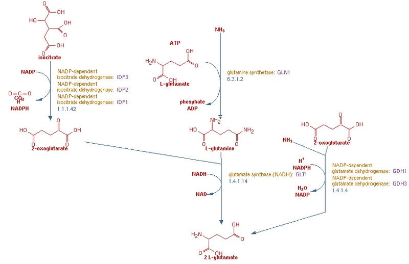 File:Screen shot 2013-02-12 at 11.59.34 PM.png