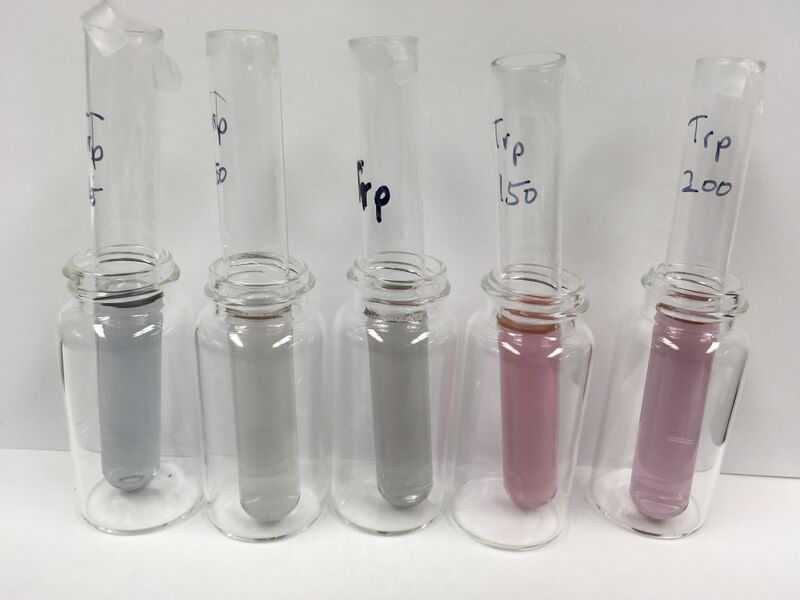 File:01112017 photo AuNP Tryptophan.jpg