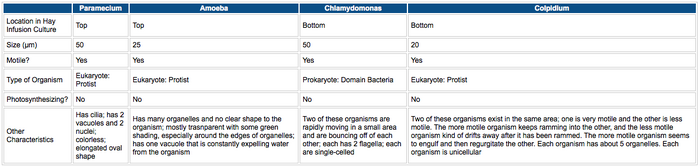 Table of Organisms in the Hay Infusion Culture