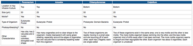 File:Nbonan 06 07 2014 lab2 table.png