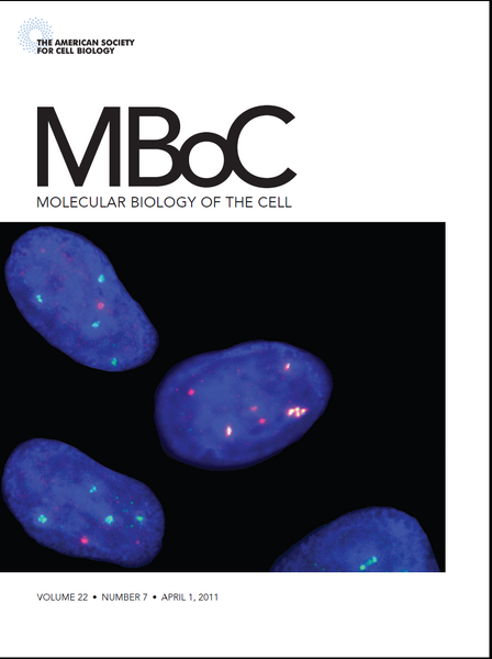 File:Official april 1 2011 cover mboc.tif