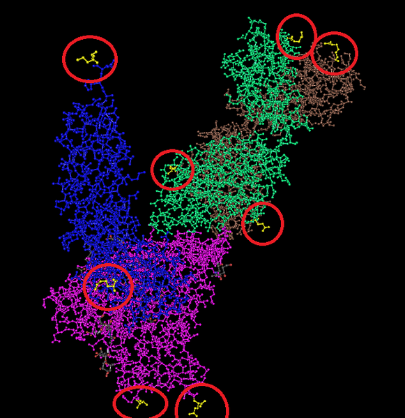 File:Wikholm N-ter, C-ter.png
