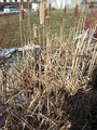 Thumbnail for version as of 20:11, 26 February 2014