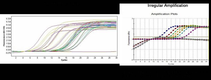 File:BioMicro Amp plots-2.jpg