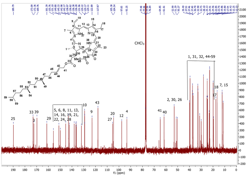 13C NMR for compound 7