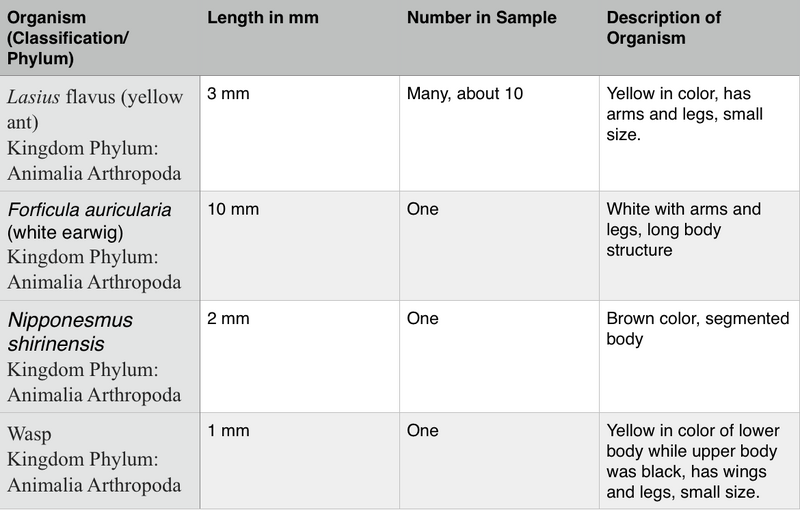 File:Screen Shot 2016-02-19 at 11.03.15 AM.png