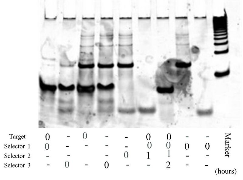 File:20120809 ②.jpg