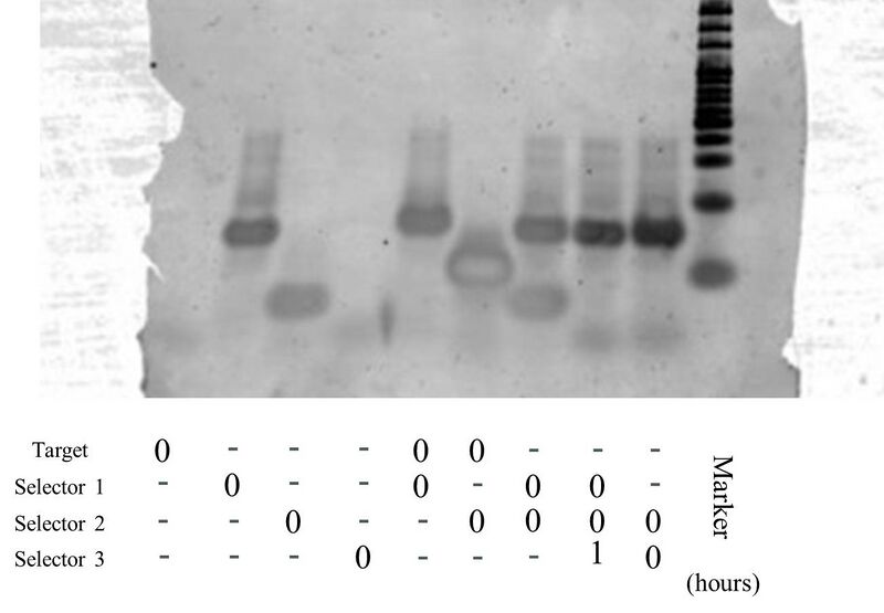 File:20120822 ②.jpg