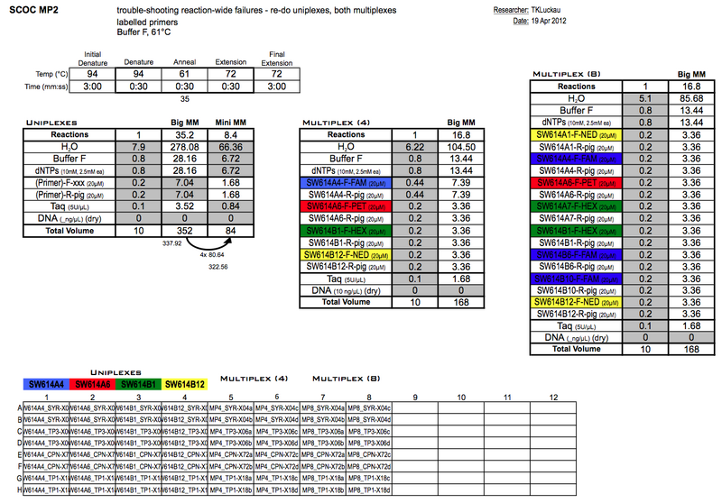 File:20130419 PCRa.png