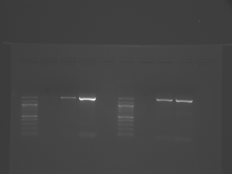 File:Green yellow WF.tif