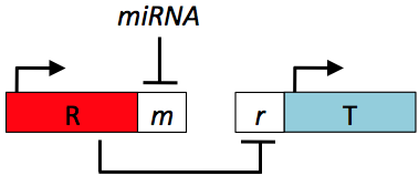 File:KAH 011711 circuit.tif