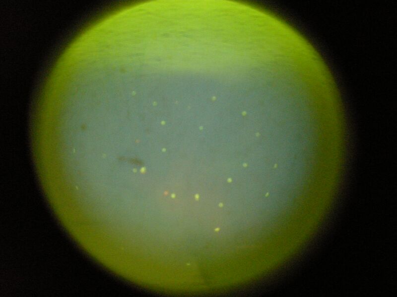 File:S14 TR M3D3 YlwPnk 12.jpg