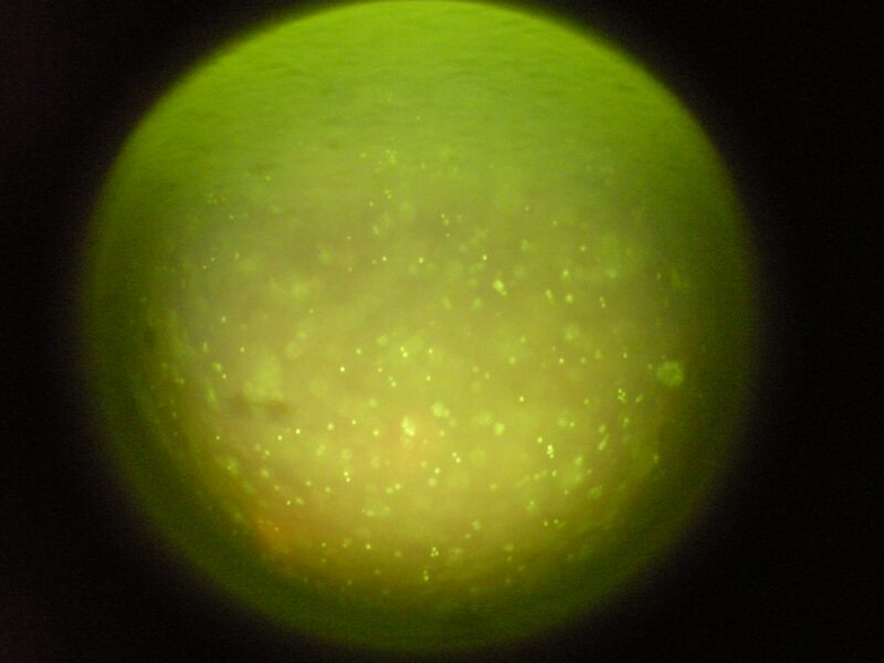 File:TR PY 095 mgml 2b.JPG