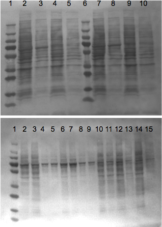 File:KAH 071610 ps1.tif