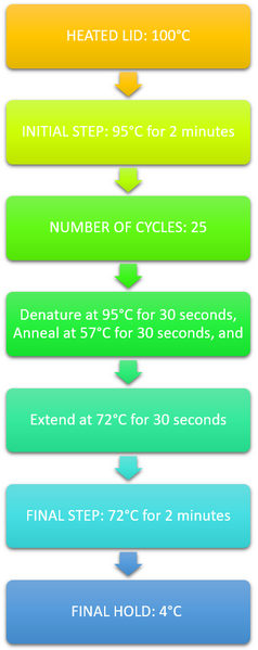 File:OpenPCR Progress.png