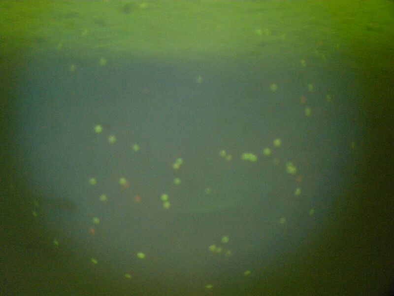 File:RGD-10ug Image 3.jpg