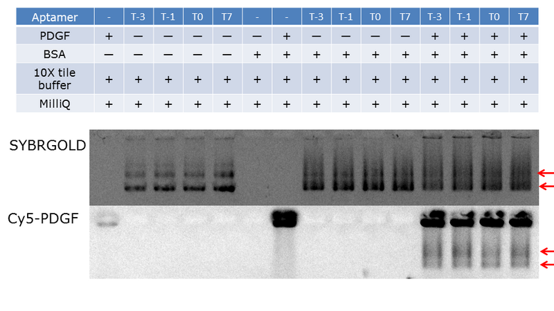 File:Tile insertion-Todai.png
