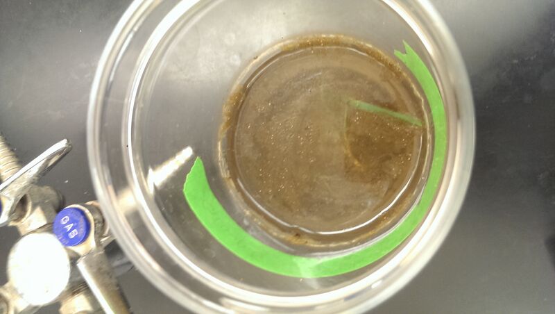 File:Top culture.jpg