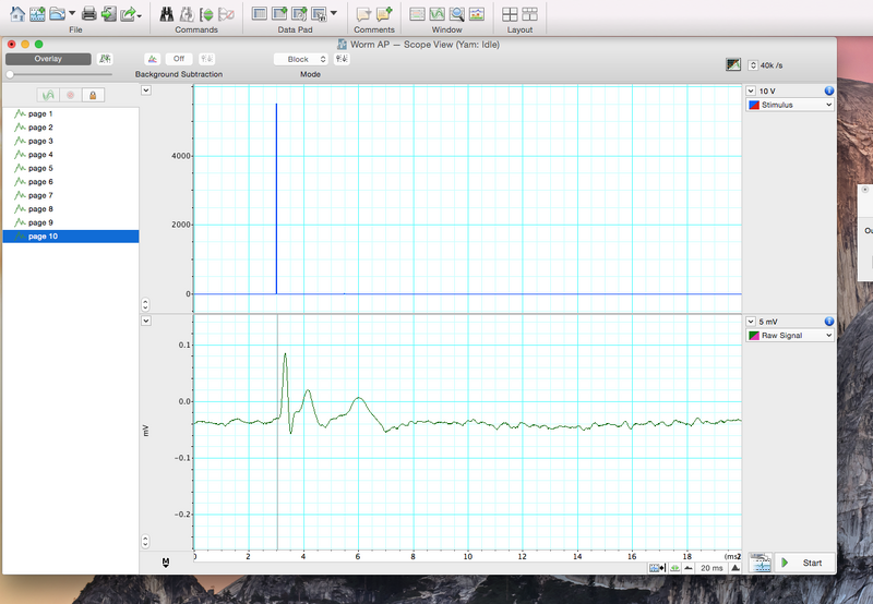 File:WORM-SAMPLE F15.png