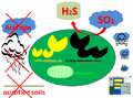 Thumbnail for version as of 09:17, 17 December 2012