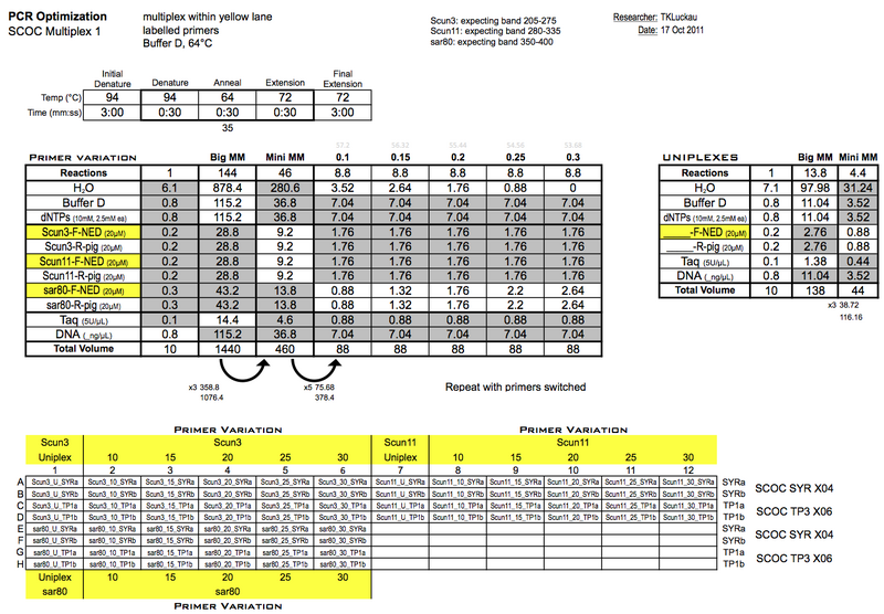 File:20111017 PCR.png