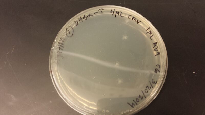 File:2014-03-21 11.41.40.jpg