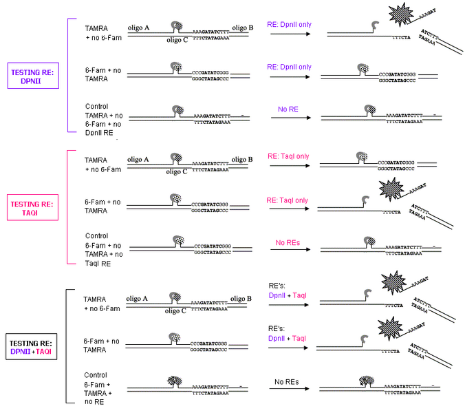 File:II09 restenzdiag1.gif