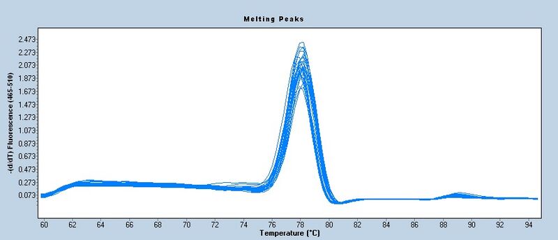 File:S13 M3D5 TR CNI-melt.jpg