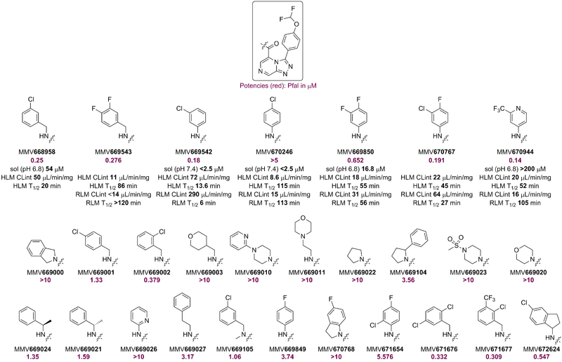 File:Amide Library v2.png
